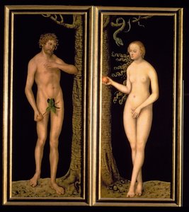 Adam og Eva, 1537 (panel)